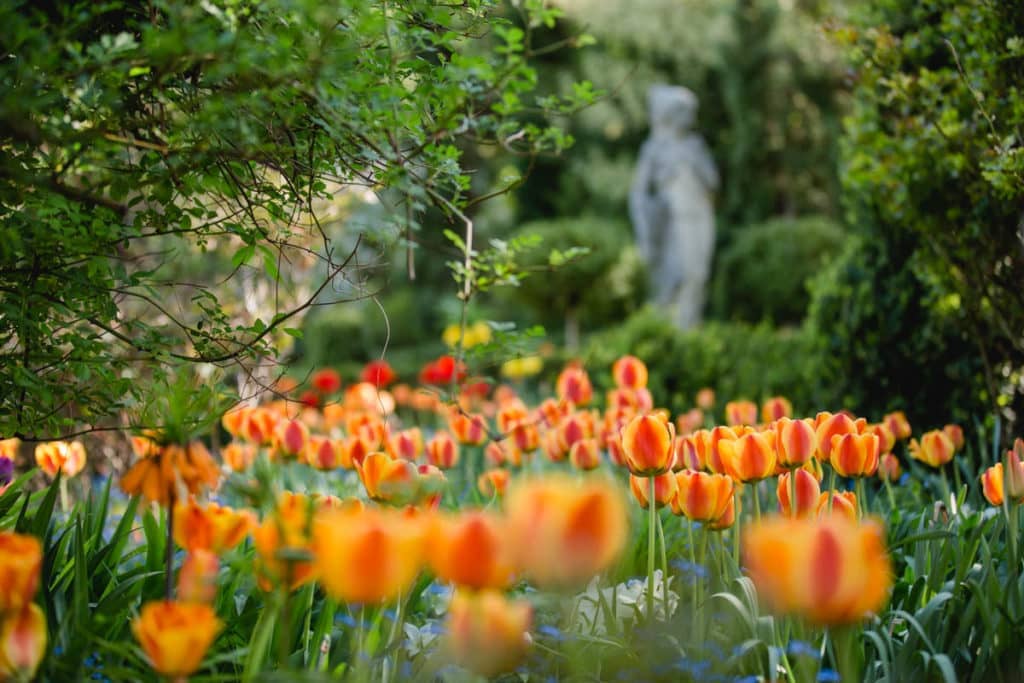 austria gardens southstyria styria garden polz