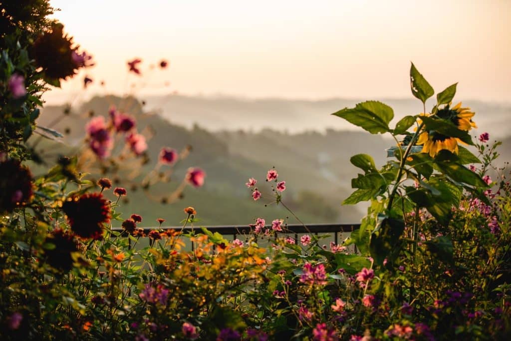 Jardin South Styria Garden Polz Austria
