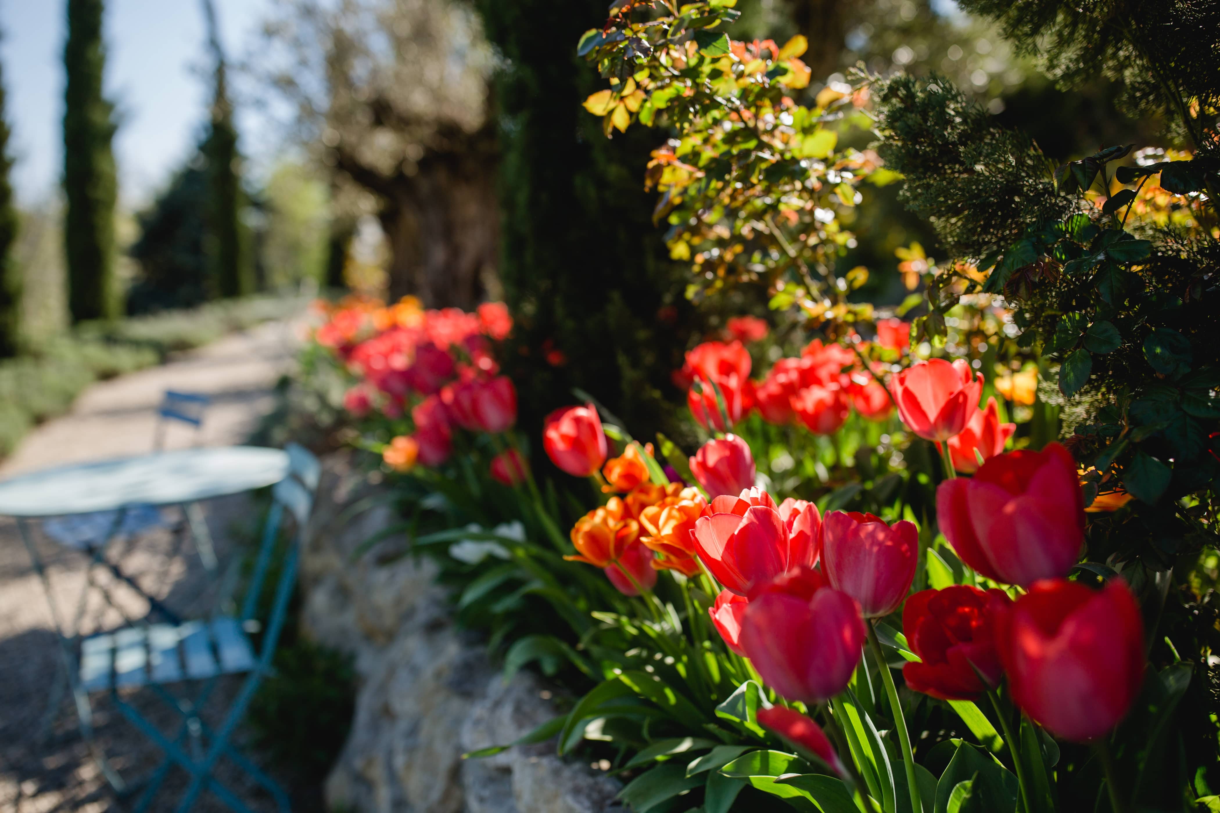 @Südsteiermark Garten Polz Südsteiermark Steiermark Frühling
