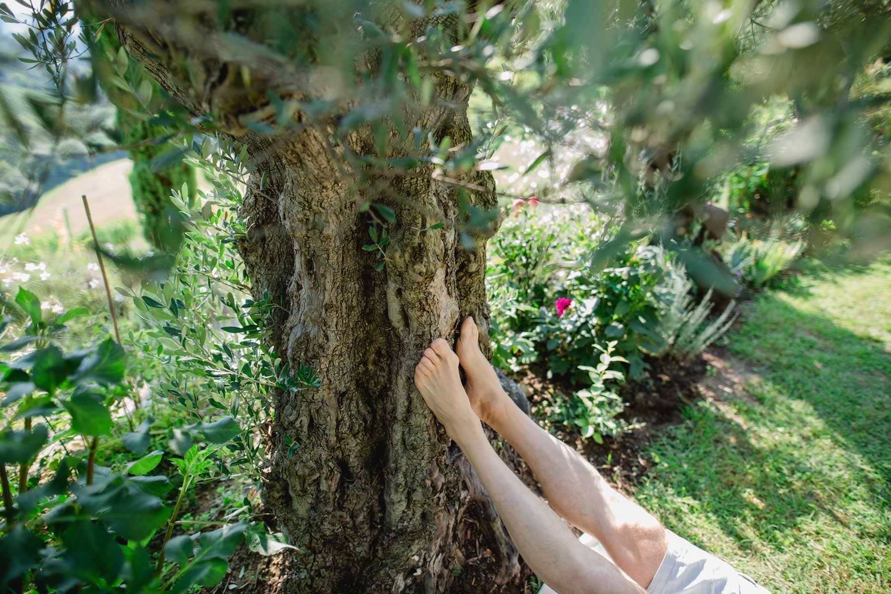 Energetische Arbeiten im Garten Meditation Bachblütenessenzen Steine Coaching Liegende Acht mit Renate Polz