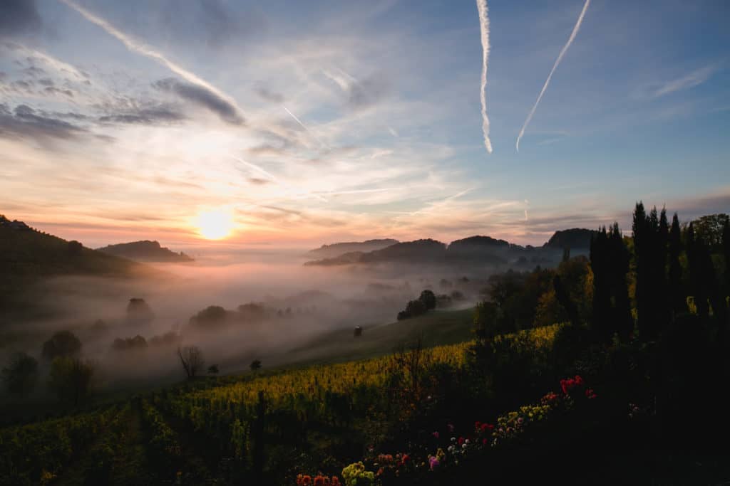 @Südsteiermark Garten Morgengartenführungen mit Renate Polz