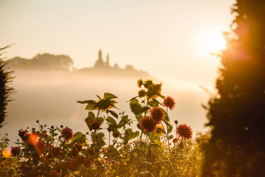 Herbst Südsteiermark Garten Polz Toscanastimmung mit Morgensonne