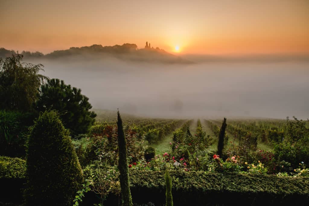 @Südsteiermark Garten Polz R.e.g. Herbststimmung Weinberg & Garten Hochgrassnitzberg