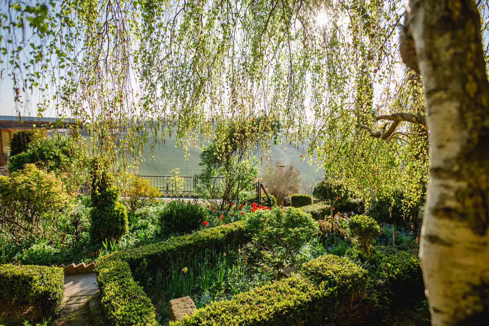 Polz Garten Patentamt Südsteiermark Garten by Renate Polz Frühling